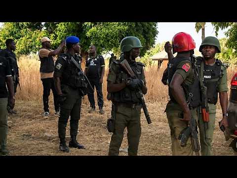 Bandit raid leaves nine farmers dead in northwest Nigeria