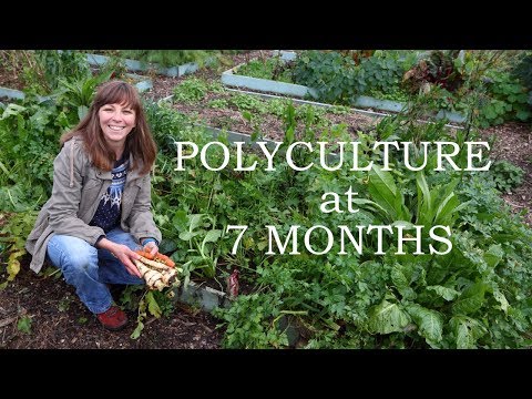 Polyculture at 7 months