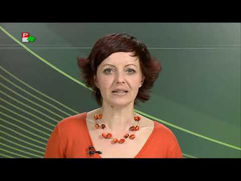 Híradó - 2017.11.29. 17:30h