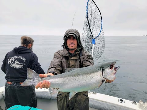 Salmon Fishing in Homer Alaska with North Country Charters