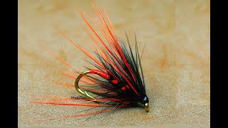 Fly Tying a Bibio Crippler Wet Fly by Mak 🐠 🐟🐠 🐟