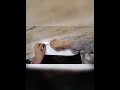 How To Make A Paper Plane