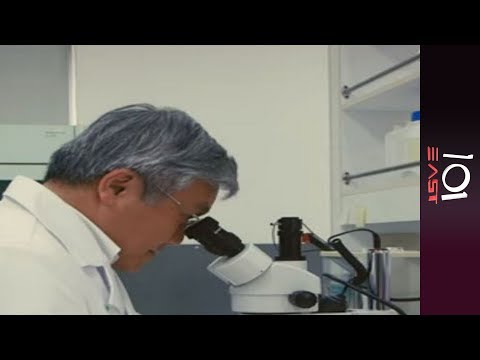 🇹🇼 Taiwan's Secret Cancer | 101 East