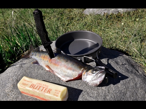download lagu mp3 mp4 Camp Trout, download lagu Camp Trout gratis, unduh video klip Camp Trout