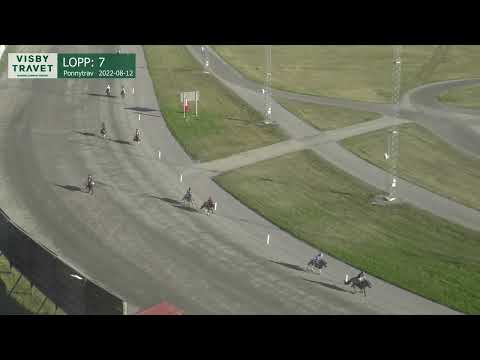 Ponnylopp (Monté Kat A) 7 2022-08-12