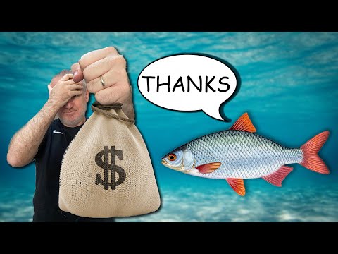 From Losing to Cruising #8 | We are DONATING to FISH!!! | More 100NL Hands Reviewed