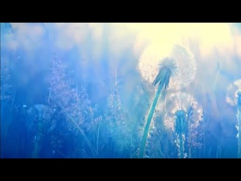 Nightnoise - Gott Im Frühlin (F. Schubert)