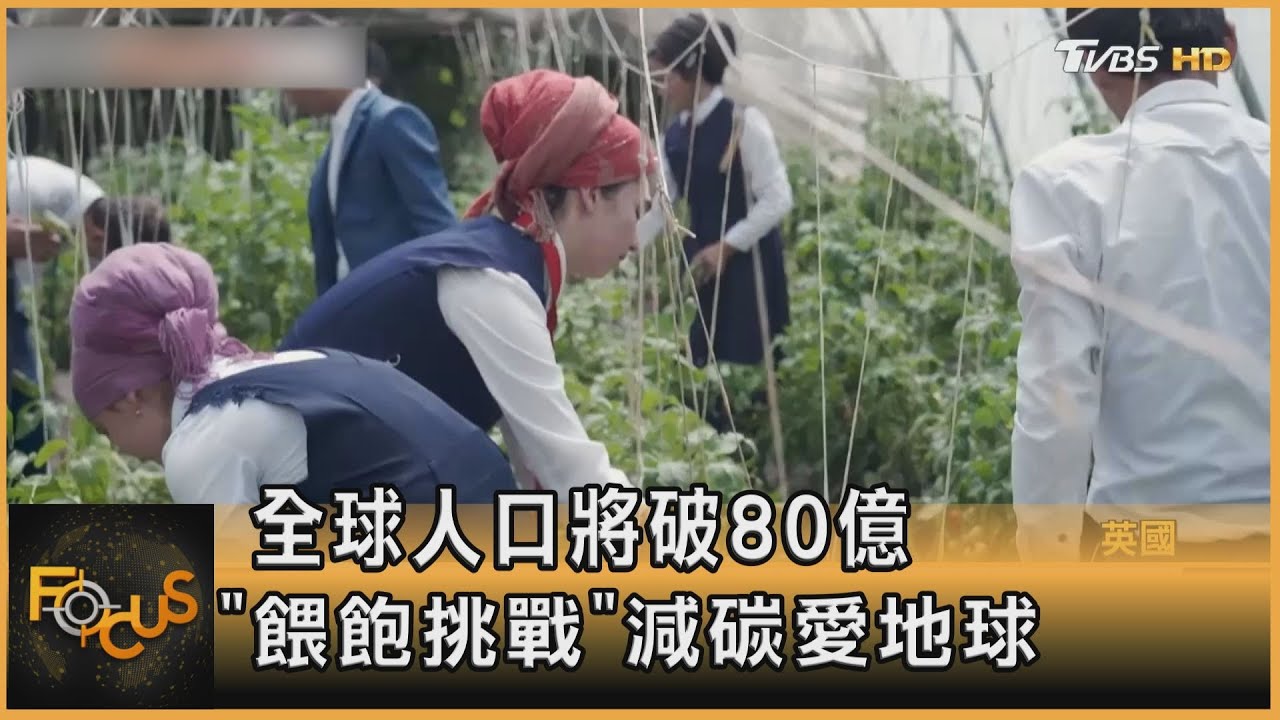 全球人口將破80億 「餵飽挑戰」減碳愛地球