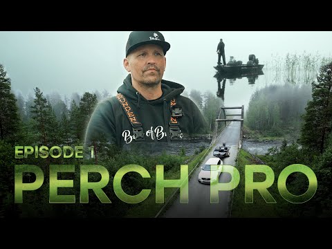 PERCH PRO 10 - Episode 1