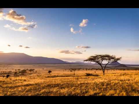 Minimalistix - Adagio For Strings