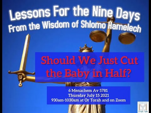 Sefer Melachim Alef Ch 3 Pt 3 Should We Just Cut the Baby in Half?