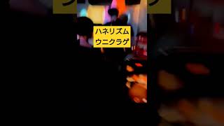 - 【サックスDJ🎷】🏮ハネリズムウニクラゲ🏮 #shorts #vocaloid