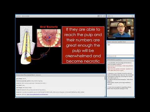 VDW Dental · Webinar  The Endodontic Essentials with Dr  Marino
