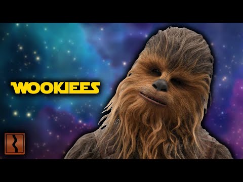 What Did Wookiees Evolve From?