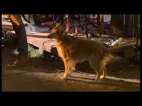 Jeanine's Tutor - teaser 2021