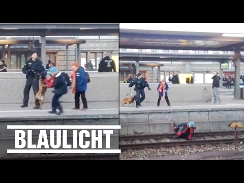 Polizeihund stößt Frau auf's Gleis - Schock am Nürnberger Bahnhof