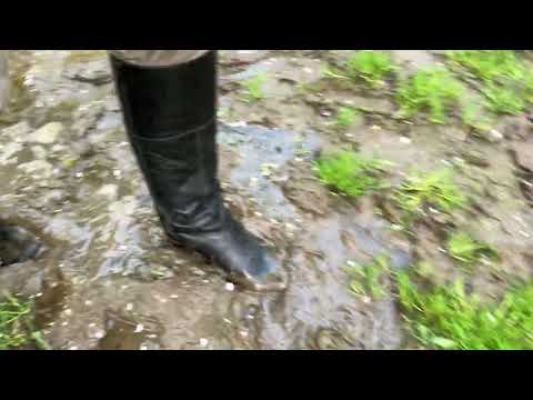 Black Leather Geox Boots with Zipper in Stream and Muddy