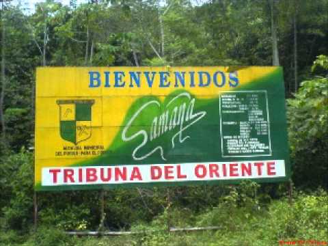 TU RECUERDO ME PERSIGUE-PIBE CAMPOS