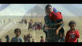 Refugee de Camel (Subtitulos Español)