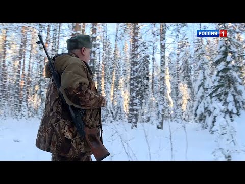 Костромские охотоведы – 45 лет на защите лесного зверя