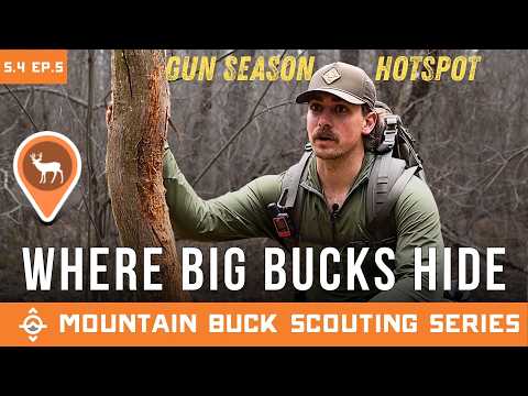 Where Big Bucks Hide When Hunting Pressure Rises | Mountain Buck Scouting Series