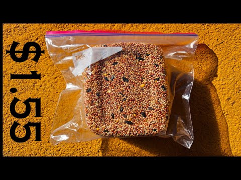 DIY Bird Seed Blocks