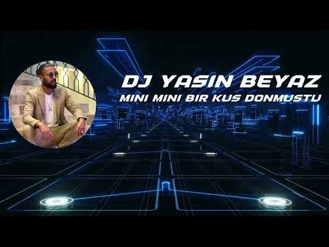 Dj Yasin Beyaz - Mini Mini Bir Kuş Donmuştu Remix