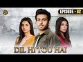 Dil Hi Tou Hai Episode 62 Ali Ansari Zoya Nasir Top Pakistani Drama