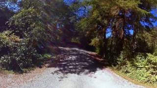 Hoh Oxbow Campground Video