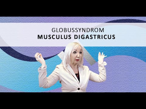 Globussyndrom - Wenn Angst und Stress die Kehle zuschnürt, Supraleitung Methode,Teil 74
