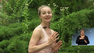 Третий возраст: Будем талию делать