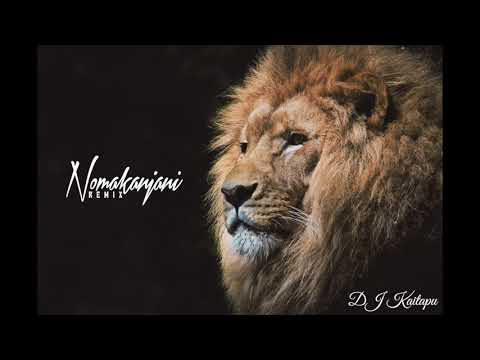 DJ Kaitapu - Nomakanjani X Nobody's Better (Remix)