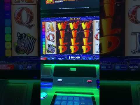 Wild Life 4$ Max Bet Bonus