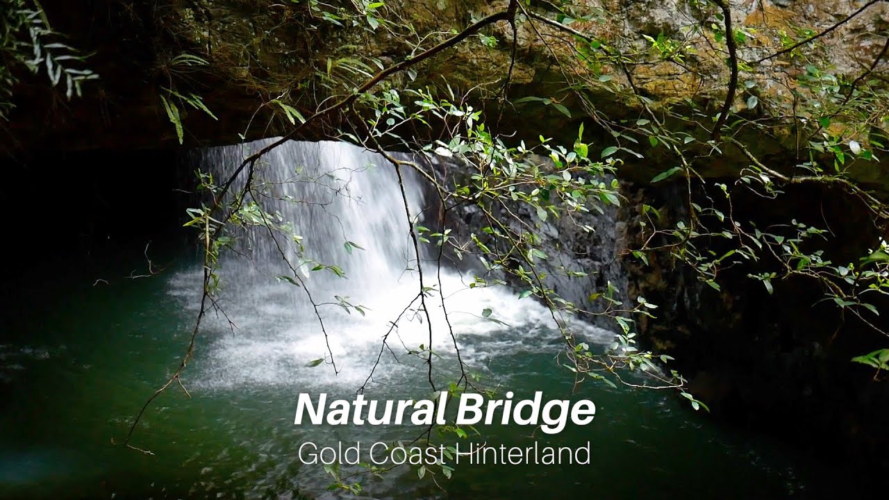 Discover the highlights of tranquil Natural Bridge.