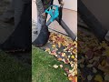 Lapų pūstuvas siurblys  Gardena ErgoJet 3000
