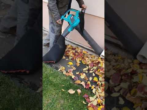 Lapų pūstuvas siurblys  Gardena ErgoJet 3000 video