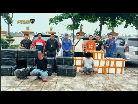 DITPOLAIR POLRI DAN KKP GAGALKAN PENYELUNDUPAN BENIH LOBSTER