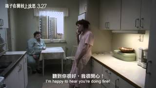 《鴿子在樹枝上沈思》威尼斯金獅獎 3.27 鳥看人生