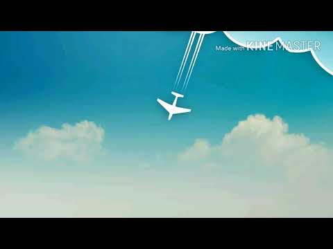 Emanuela Cortesi - Il mio volo bianco