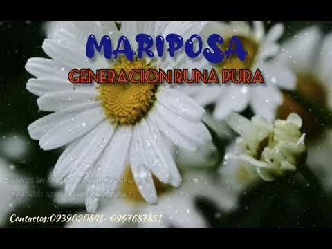 "Mariposa"  Generacion Runa Pura (Audio Oficial2021)