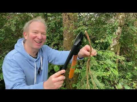 Cutting Branches and Vines with Fiskars Loppers