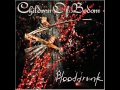 Children of bodom-Blooddrunk guitar backing track