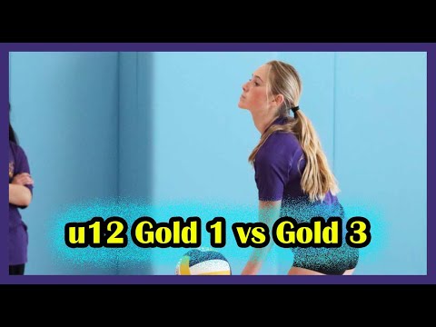 u12 "Gold 1" vs. "Gold 3" AAA Tournament 3-12-22