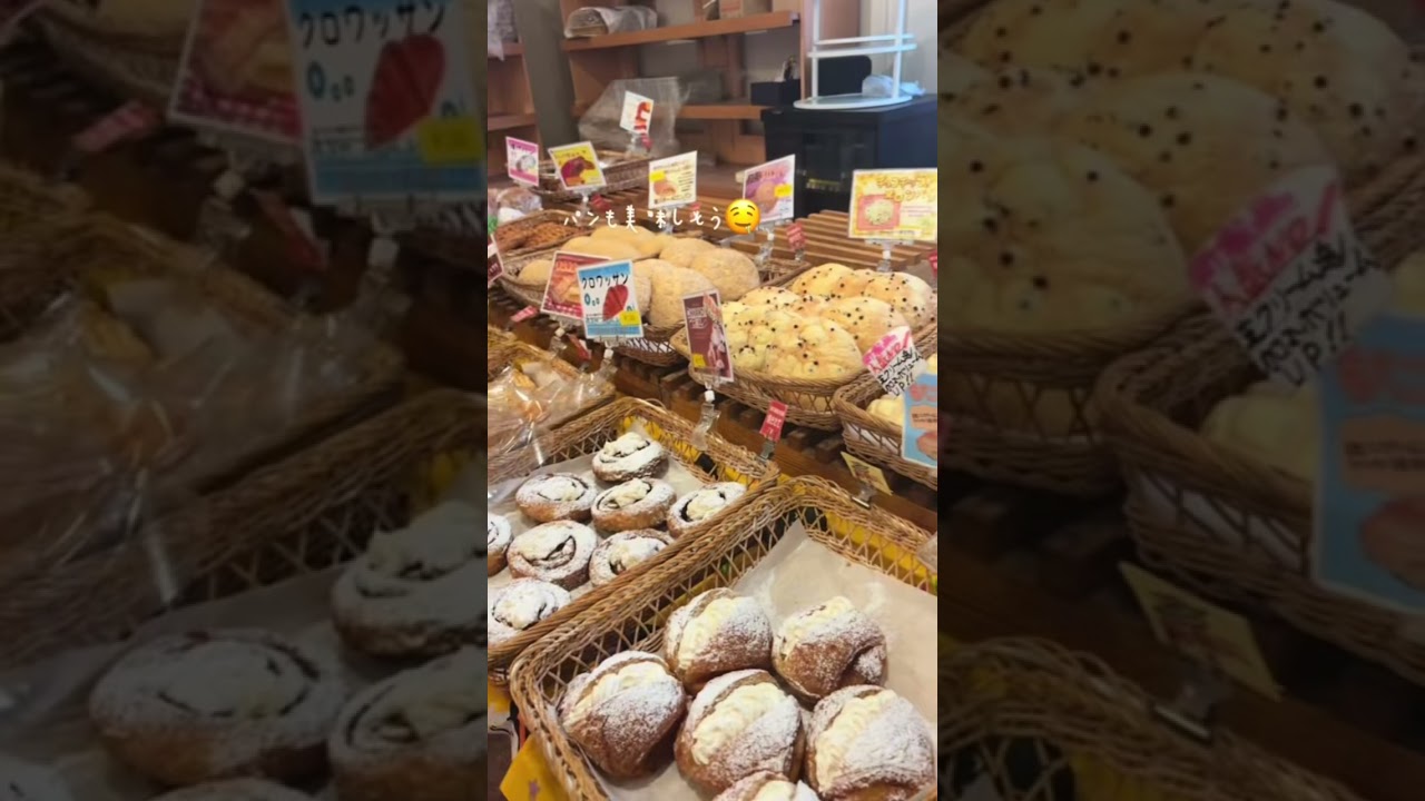 【vlog】フルコマの1日⚜️ #大学生 #立教大学