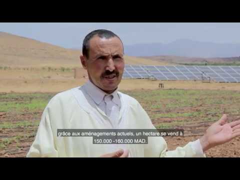 Système d’irrigation peu gourmand Système d’irrigation peu gourmand