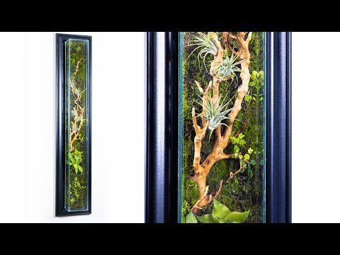 , title : 'DIY Living Wall Moss Terrarium
