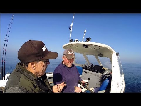 Learn to Fish from a BOAT - Lure & Bait Fishing