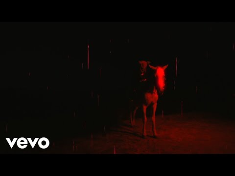 Trippie Redd - Hell Rain (Lyric Video) ft. Lil Wayne, HoodyBaby