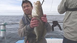 Wreck fishing Aberdeenshire