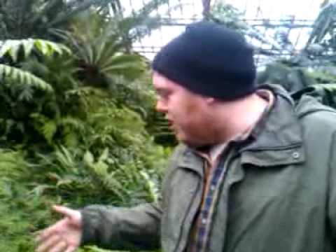 video-2010-03-07-14-15-36